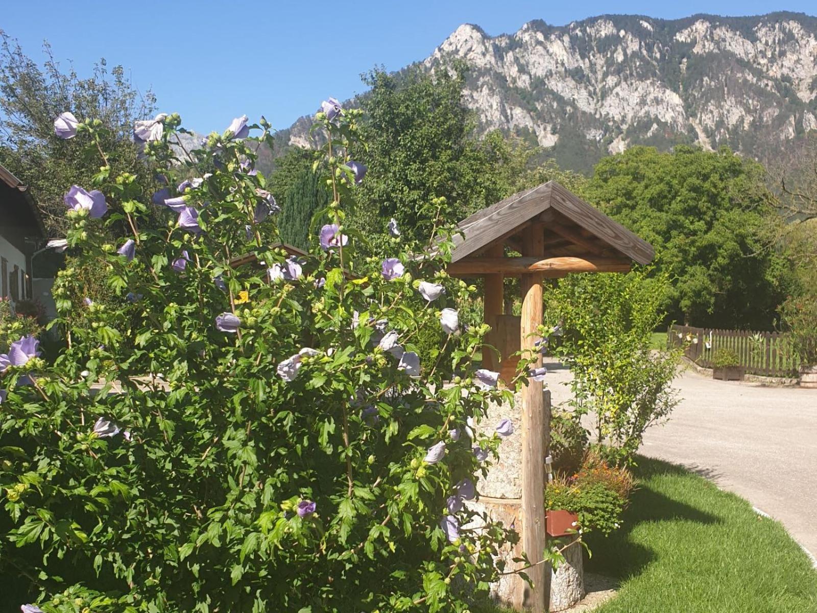 Villa Familie Stoier Reichenau Exterior foto